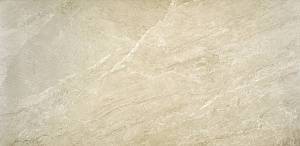 Алсасия Беж 59x120 Матт / Alsacia Beige 59x120 Matt