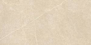 Icaria Ivory  60x120 rect.